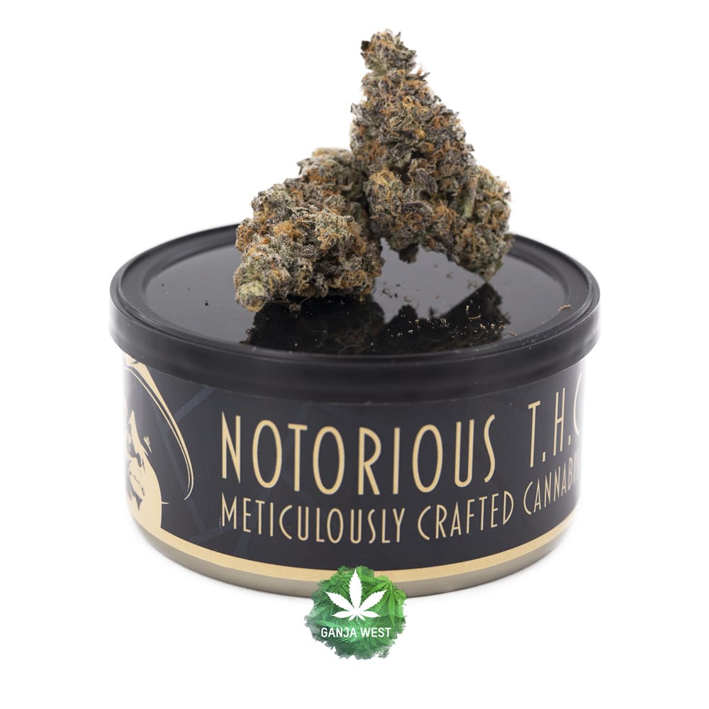 Notorious Thc Craft Optimus Prime Grams Ganja West Online Shop