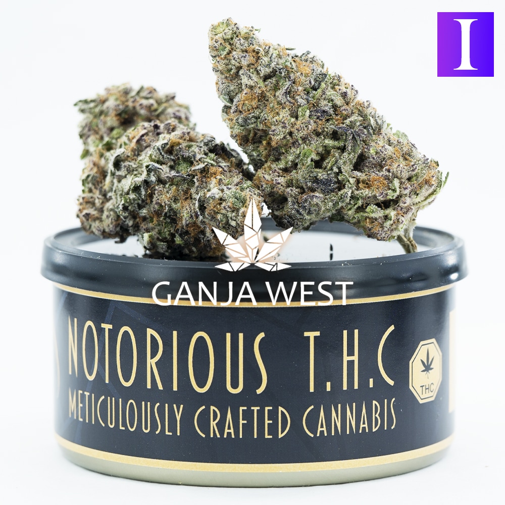 Notorious Thc Craft Electric Black Mamba Grams Ganja West