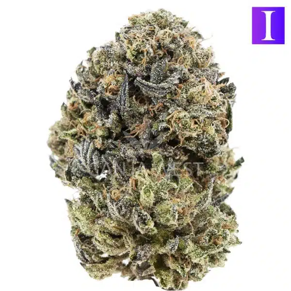 Ice Cream Cake AAA Indica Ganja West Online Dispensary