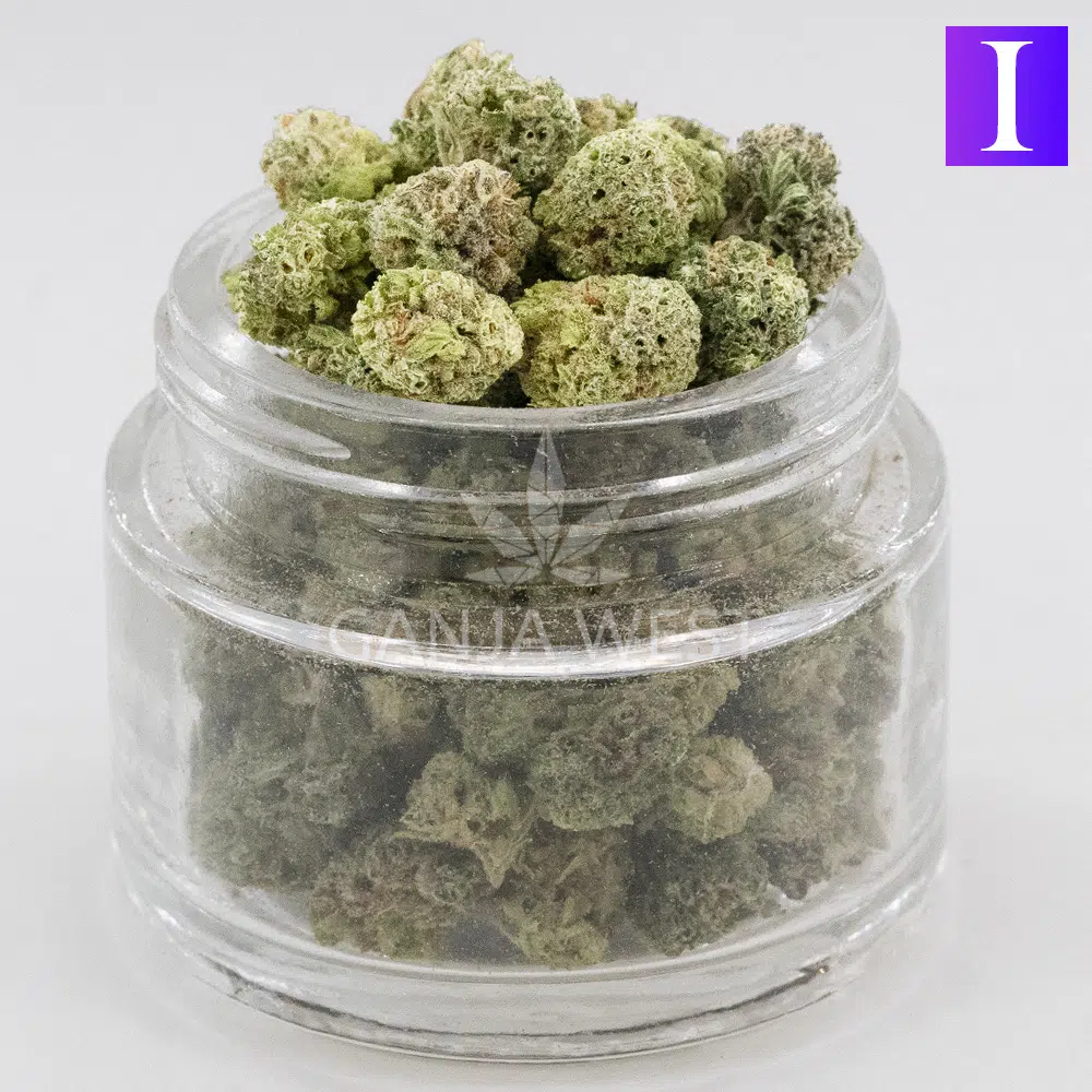 buy-weed-online-dispensary-ganja-west-blue-truffle-aaaa-popcorn-jar Blue Truffle AAAA Popcorn - Indica