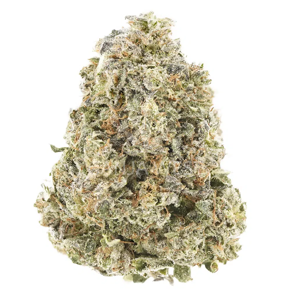 buy-weed-online-dispensary-ganja-west-grand-master-kush-aaaa-nug Grand Master Kush AAAA - Indica - Image 1