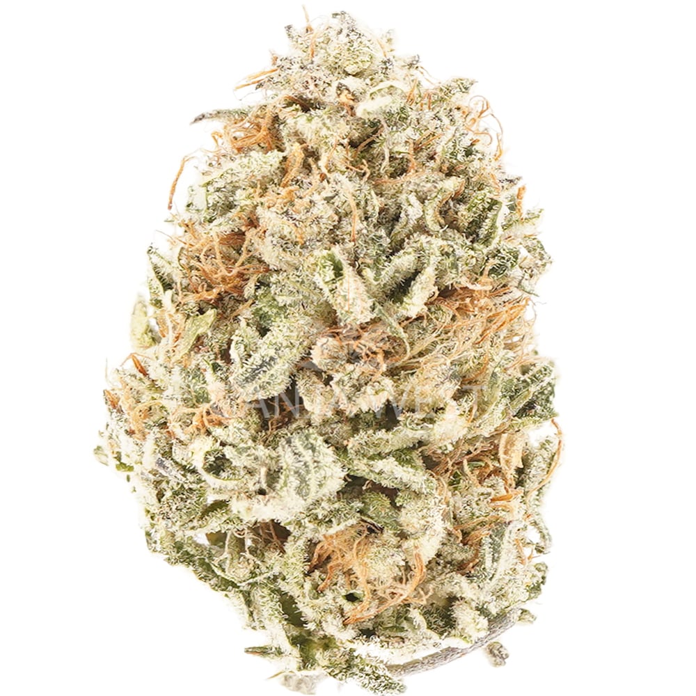 buy-weed-online-dispensary-ganja-west-hazy-margarita-aa-nug Hazy Margarita AA - Sativa - Image 1