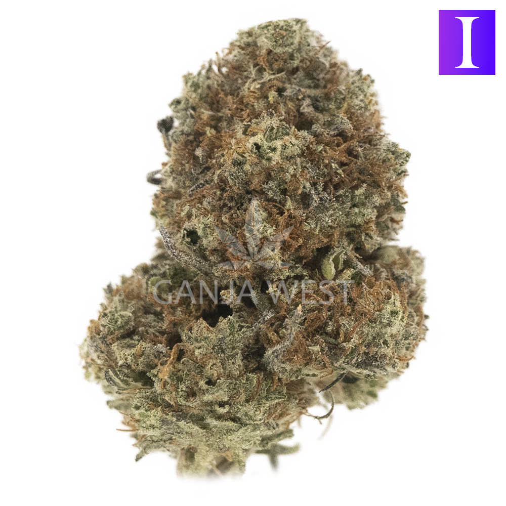 Wholesale Dolce Gelato Aaa Ganja West Online Dispensary In Canada