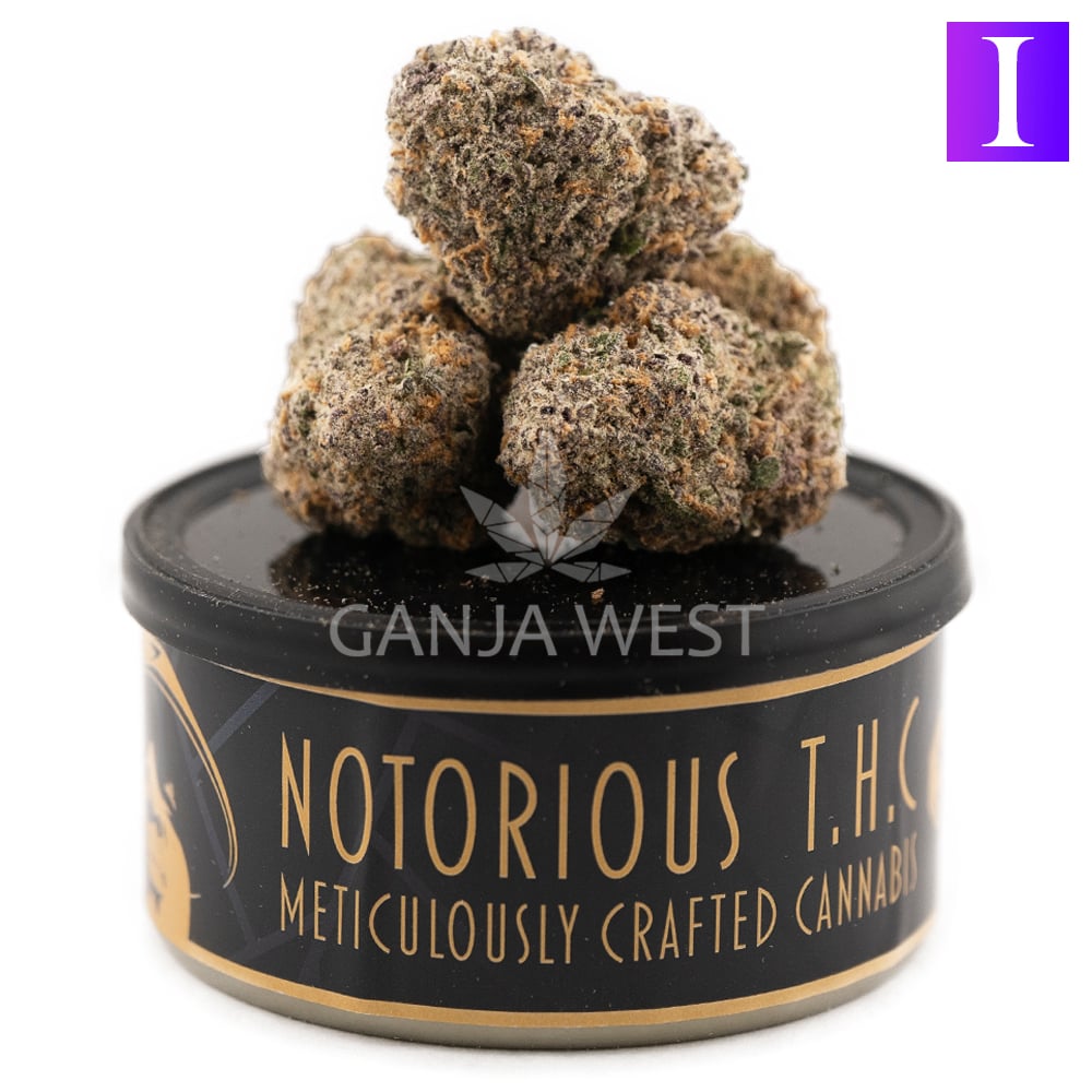 Notorious THC Craft White Fire OG 7 Grams Ganja West Online