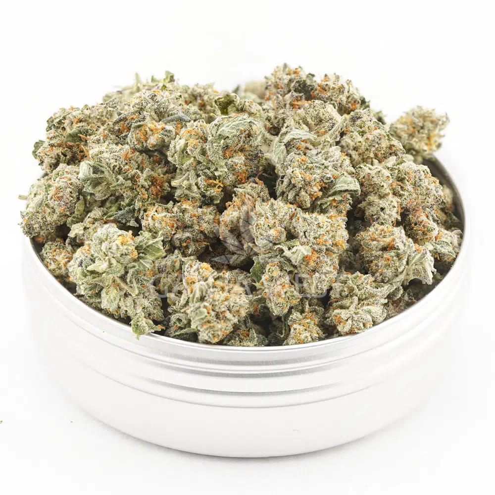 buy-weed-online-dispensary-ganja-west-alien-rock-candy-craft-popcorn-jar-test Alien Rock Candy Craft Popcorn - Indica - Image 1