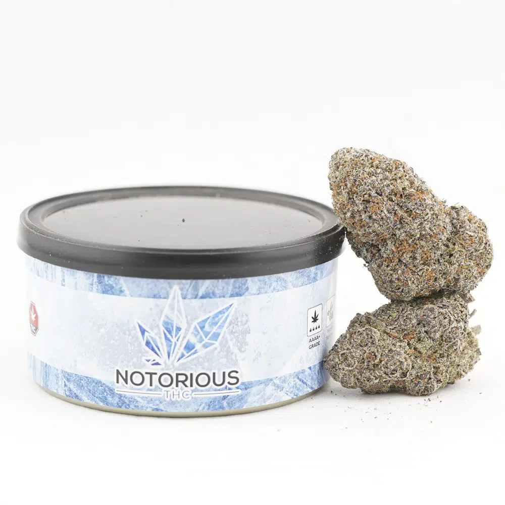 buy-weed-online-dispensary-craft-tuna-can-jungle-breath.jpg Notorious THC Craft - Jungle Breath (7 Grams) - Image 1