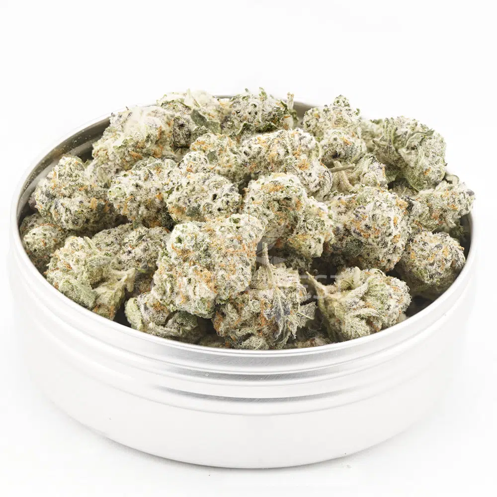 buy-weed-online-dispensary-ganja-west-el-fuego-blanco-craft-popcorn-jar El Fuego Blanco Craft Popcorn - Hybrid - Image 1
