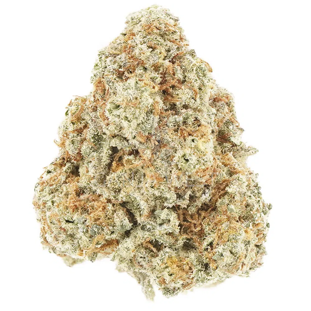 buy-weed-online-dispensary-ganja-west-white-louis-aa-nug White Louis AA - Hybrid - Image 1