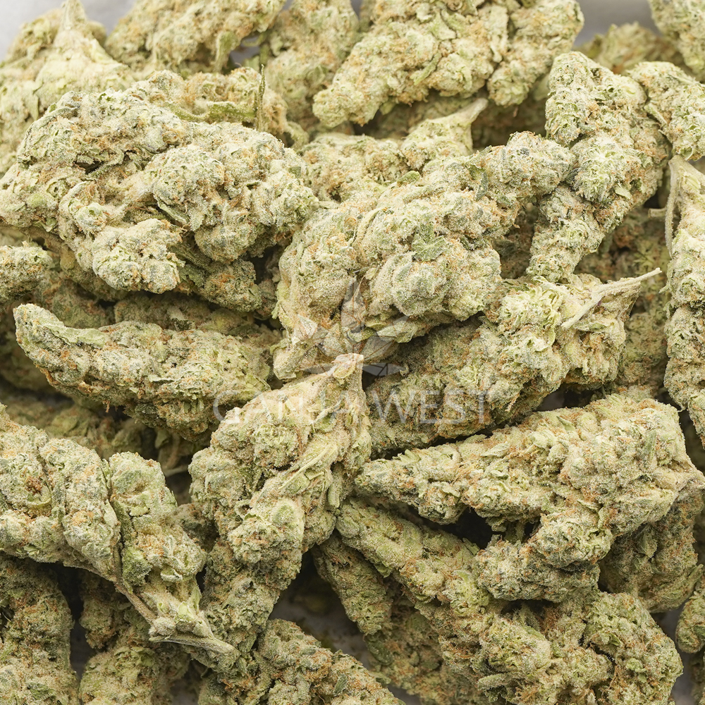 buy-weed-online-dispensary-ganja-west-cosmic-cookies-aa-wholesale Wholesale - Cosmic Cookies - AA - Image 1