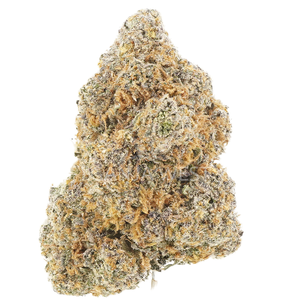 buy-weed-online-dispensary-ganja-west-lemon-drip-aaaa-nug Lemon Drip AAAA - Sativa - Image 1
