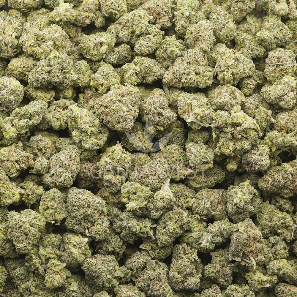 buy-weed-online-dispensary-ganja-west-black-afghani-aaaa-popcorn-wholesale Wholesale Popcorn - Black Afghani - AAAA - Image 1