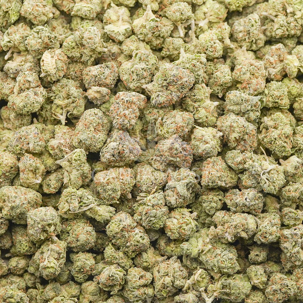 buy-weed-online-dispensary-ganja-west-dolce-gelato-aaaa-popcorn-wholesale Wholesale Popcorn - Dolce Gelato - AAAA - Image 1