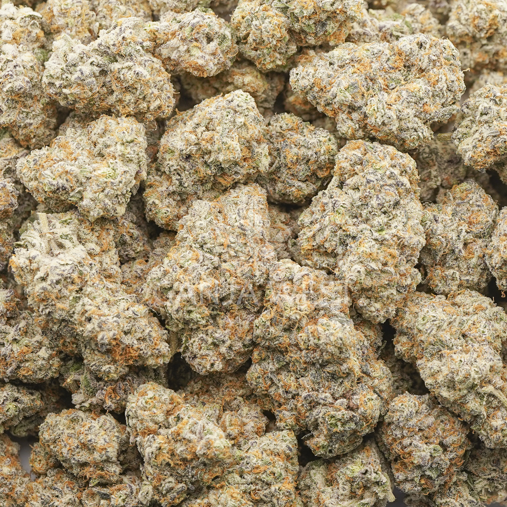 buy-weed-online-dispensary-ganja-west-platinum-gushers-craft-wholesale Wholesale - Platinum Gushers - Craft - Image 1