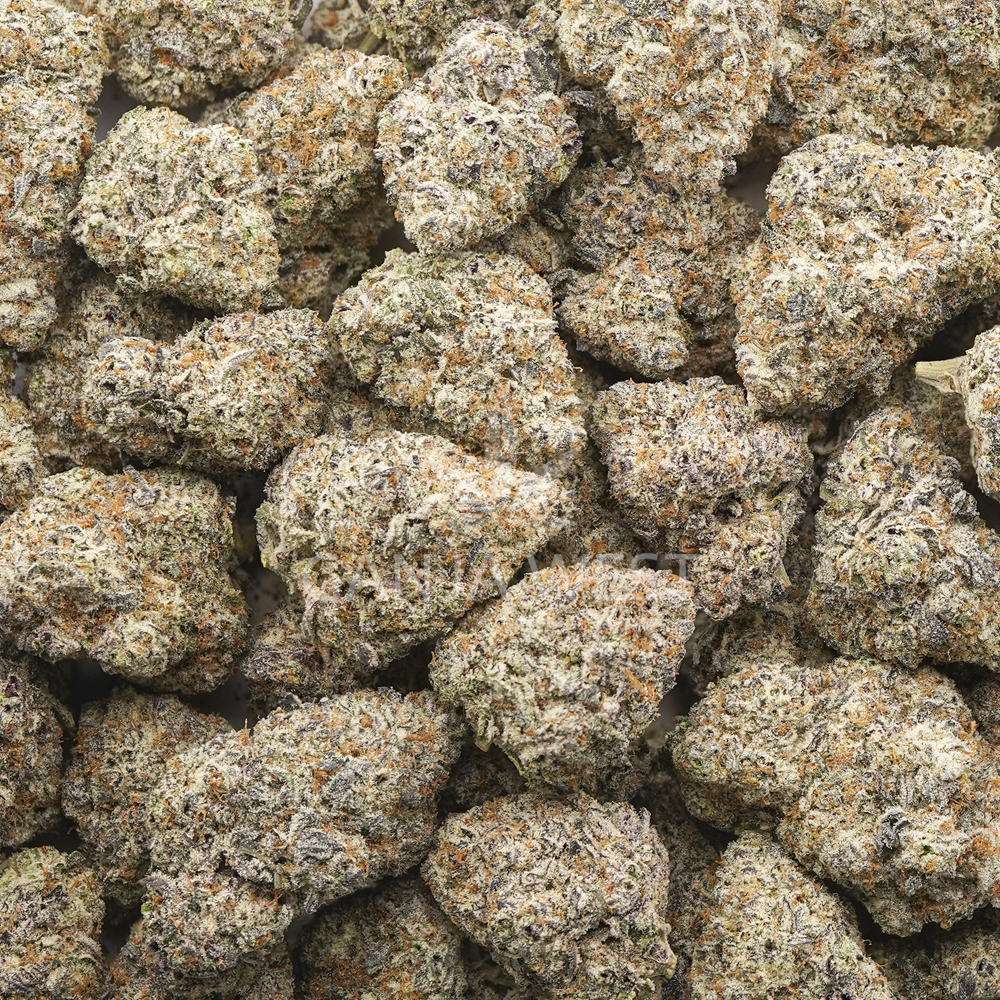 buy-weed-online-dispensary-ganja-west-strawberry-gelato-craft-wholesale Wholesale - Strawberry Gelato - Craft - Image 1