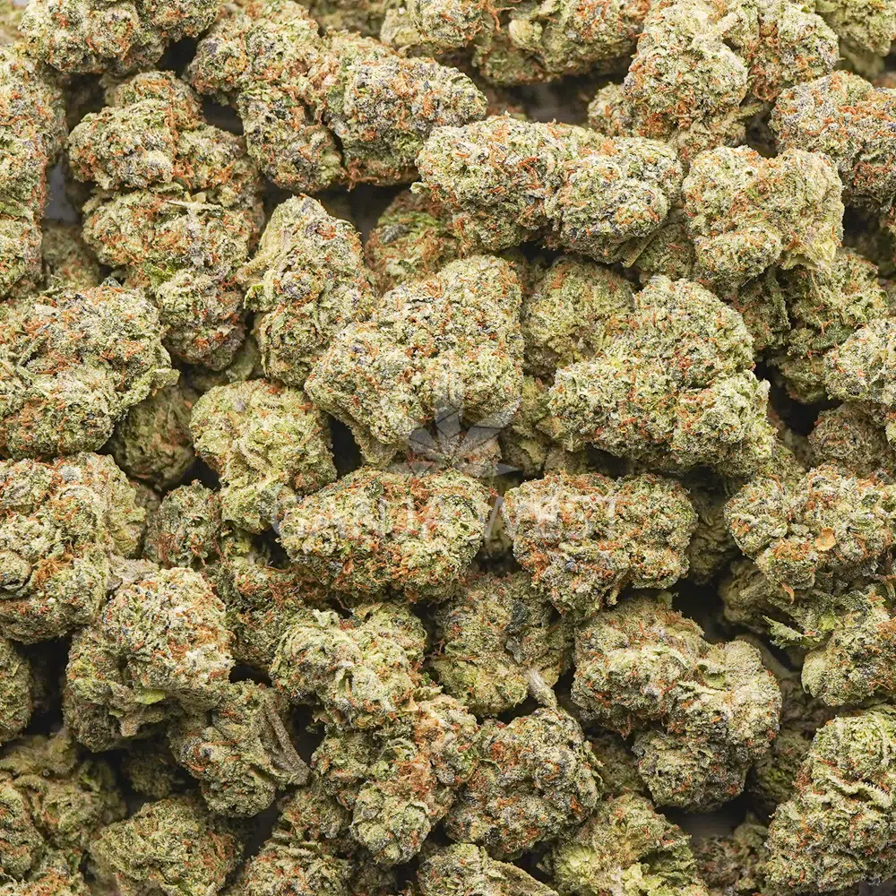 buy-weed-online-dispensary-ganja-west-banana-runtz-aaa-wholesale Wholesale - Banana Runtz - AAA - Image 1