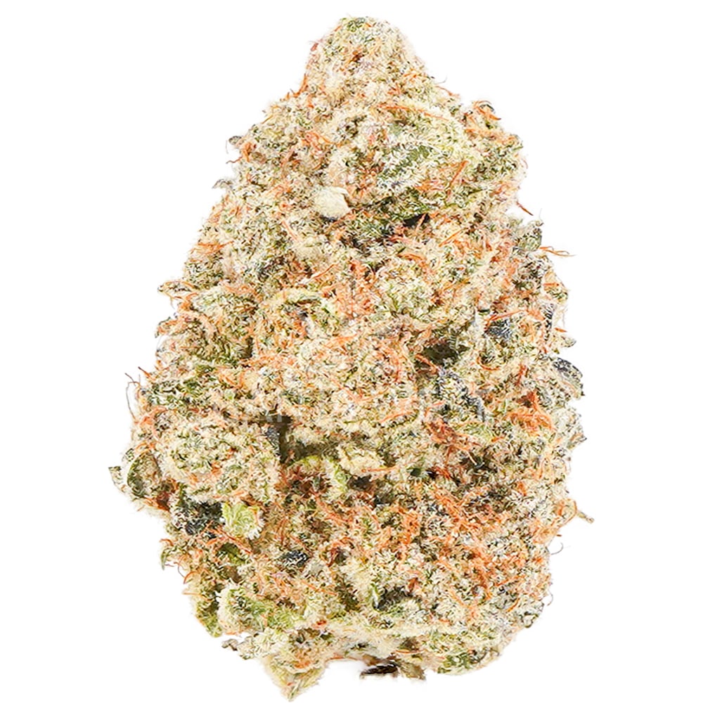buy-weed-online-dispensary-ganja-west-albino-rhino-aaa-nug Albino Rhino AAA - Indica - Image 1