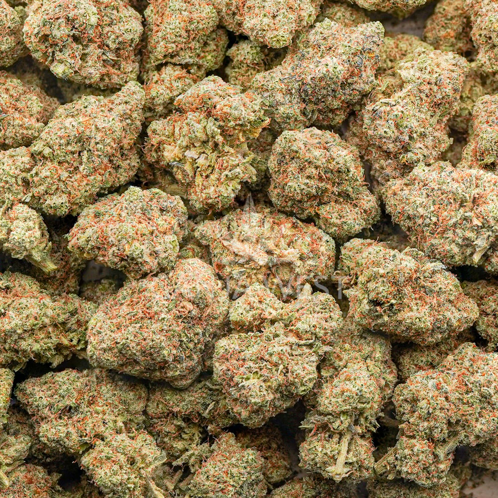 buy-weed-online-dispensary-ganja-west-lemon-og-aa-wholesale Wholesale - Lemon OG - AA - Image 1