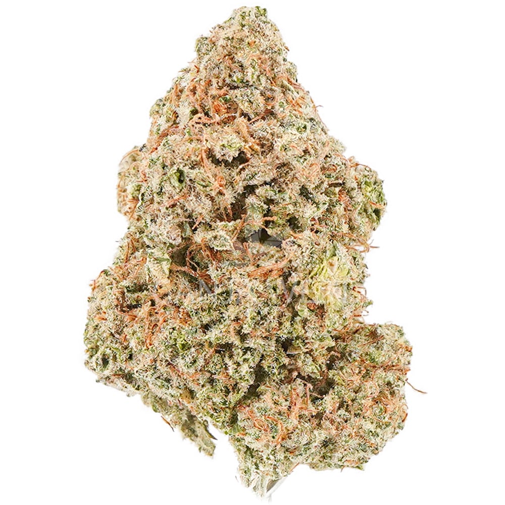 buy-weed-online-dispensary-ganja-west-mac-n-cheese-aa-nug MAC N Cheese AA - Indica - Image 1