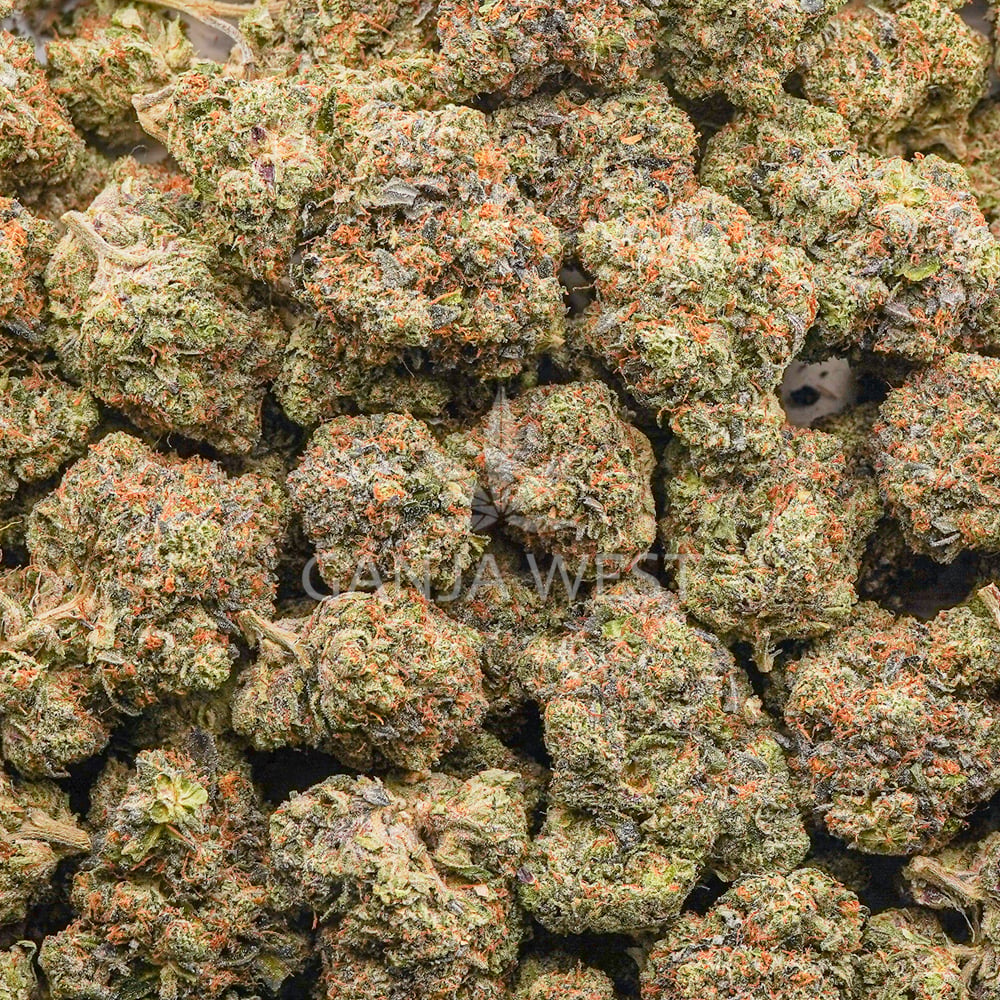 buy-weed-online-dispensary-ganja-west-mk-ultra-aaaa-wholesale Wholesale - MK Ultra - AAAA - Image 1