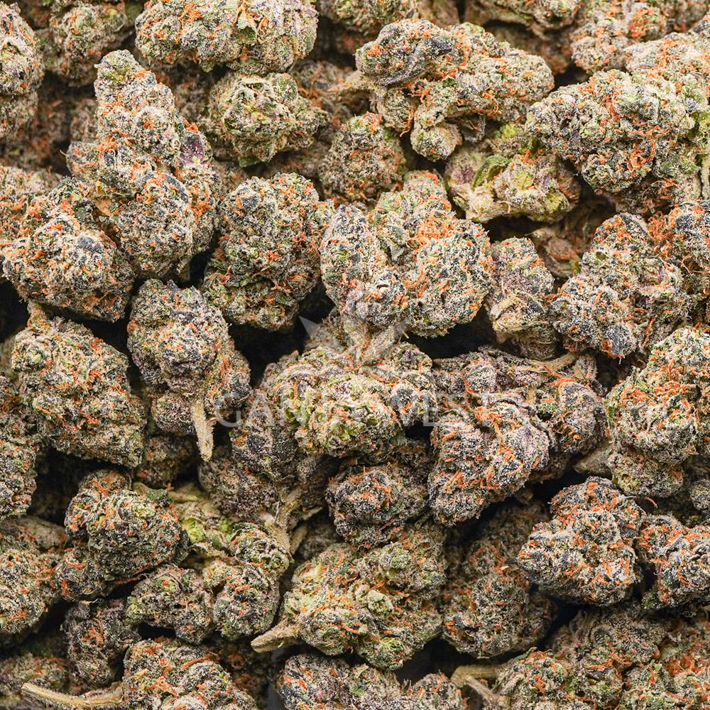 buy-weed-online-dispensary-ganja-west-poison-berry-aaaa-wholesale Wholesale - Poison Berry - AAAA - Image 1