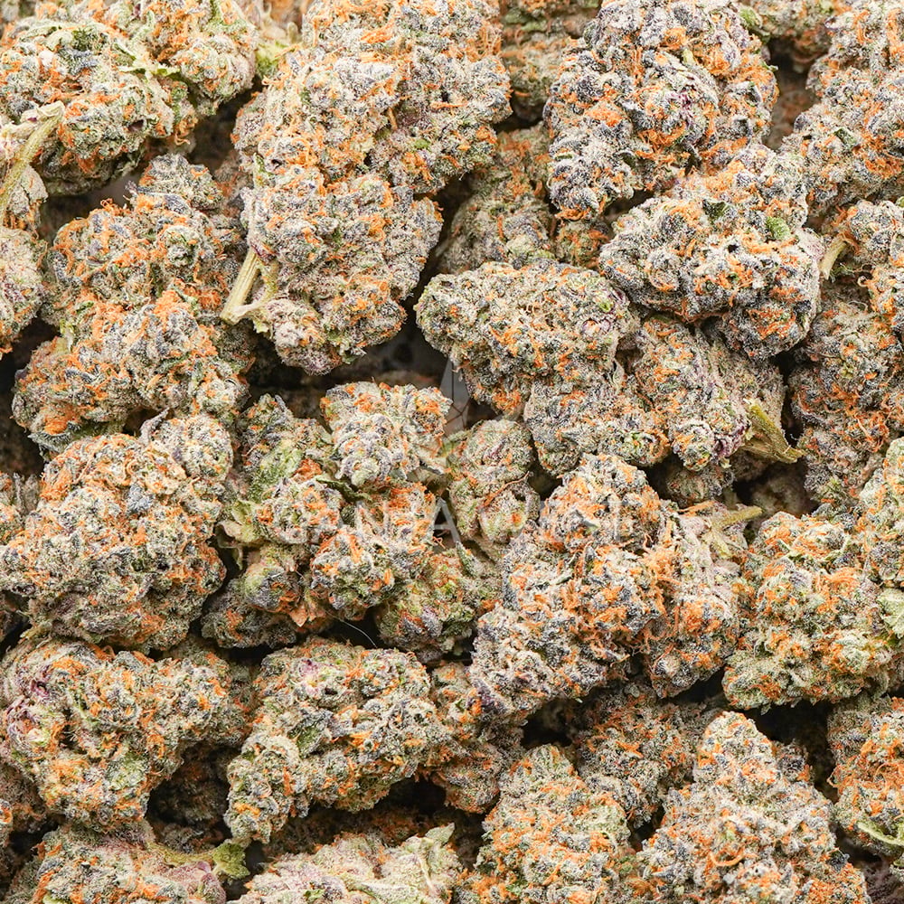 buy-weed-online-dispensary-ganja-west-purple-gas-aaaa-wholesale Wholesale - Purple Gas - AAAA - Image 1