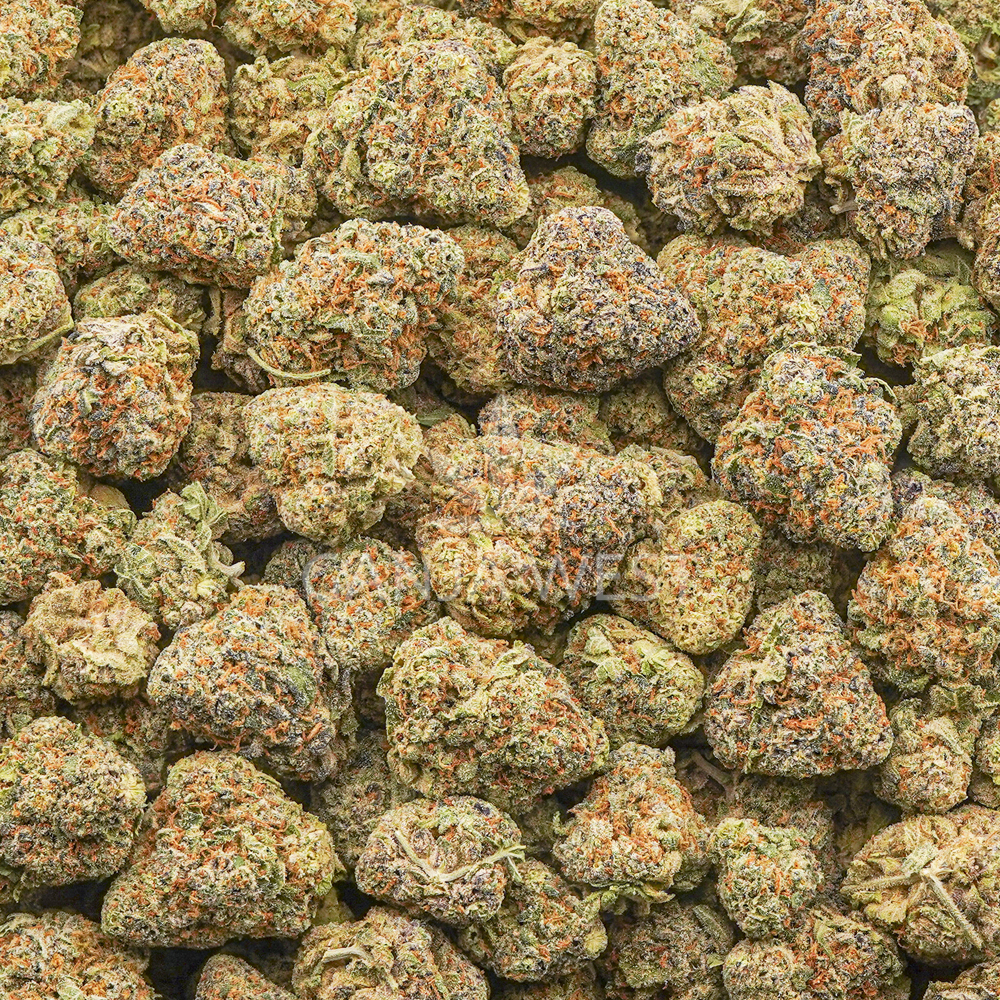 buy-weed-online-dispensary-ganja-west-sacrificial-lamb-aaa-popcorn-wholesale Wholesale Popcorn - Sacrificial Lamb - AAA - Image 1