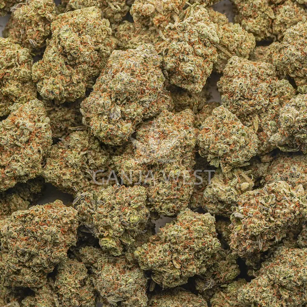 buy-weed-online-dispensary-ganja-west-zkittlez-aaa-wholesale Wholesale - Zkittlez - AAA - Image 1