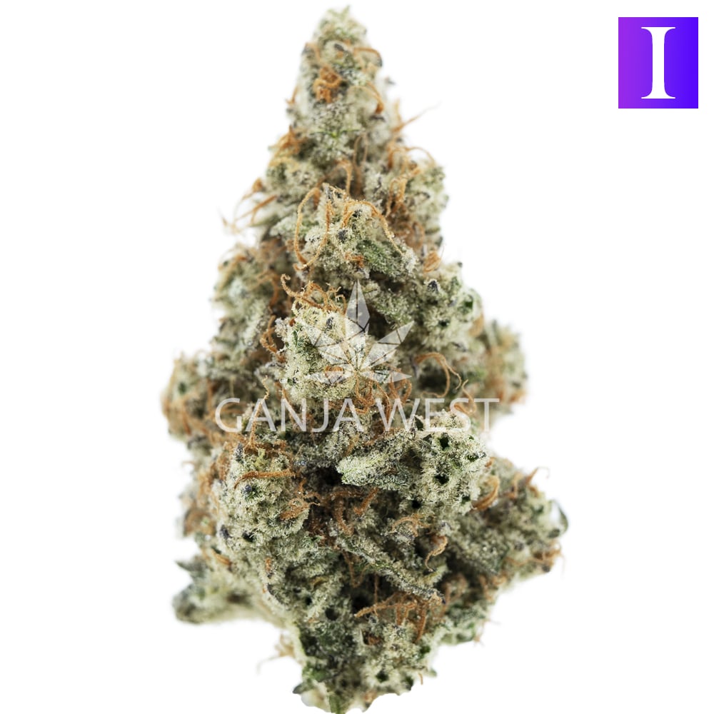 Garlic Drip AAAA Indica Ganja West Online Dispensary Shop in Canada