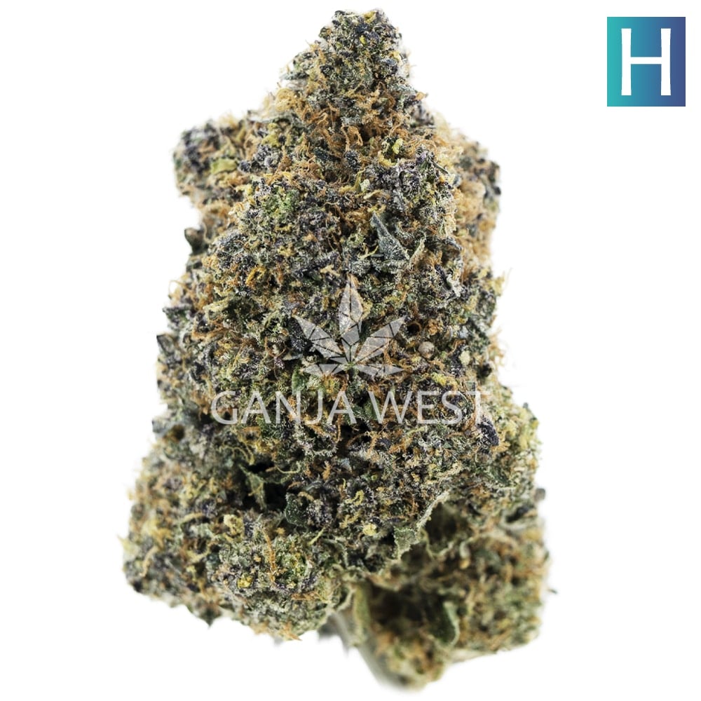 Jack Durban AAA Hybrid Ganja West Online Dispensary in Canada.