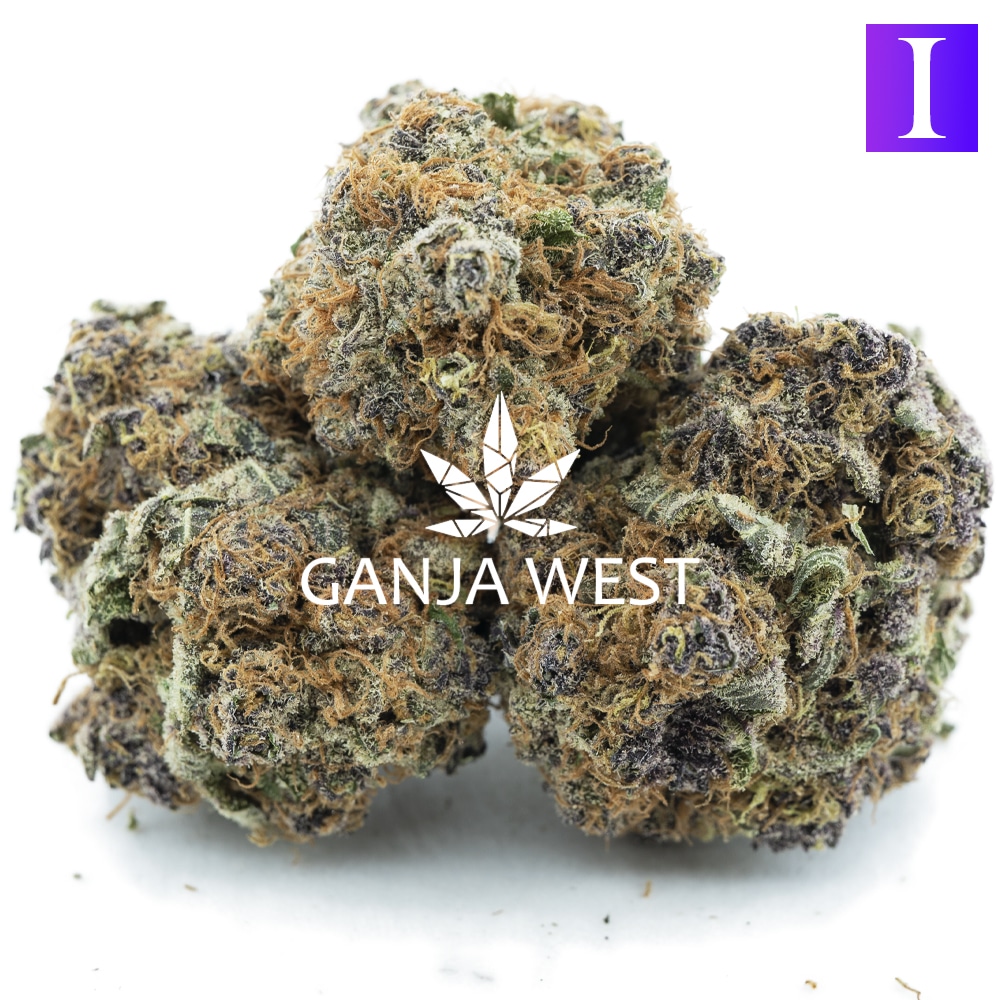 Purple Panty Dropper Craft Indica Ganja West Online Dispensary