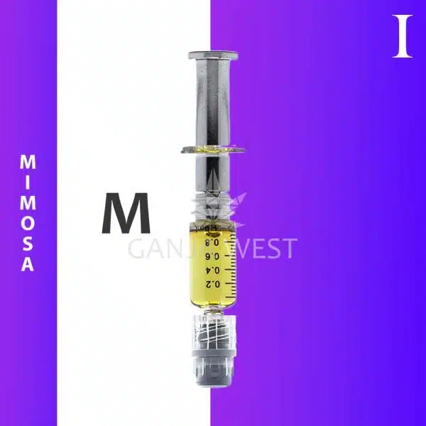 Distillate Syringes - Mimosa