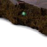 Superman Hash - Image 2