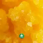 Live Resin - King Tut - Sativa - Image 3