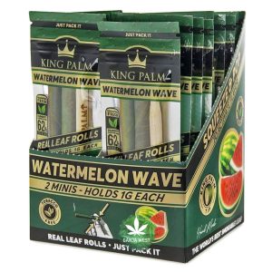 King Palm - Mini Watermelon Wave Terps