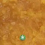 Caviar - Miami Heat - Sativa - Image 2