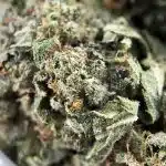Wholesale - AAA Popcorn - Rockstar - Indica - Image 3