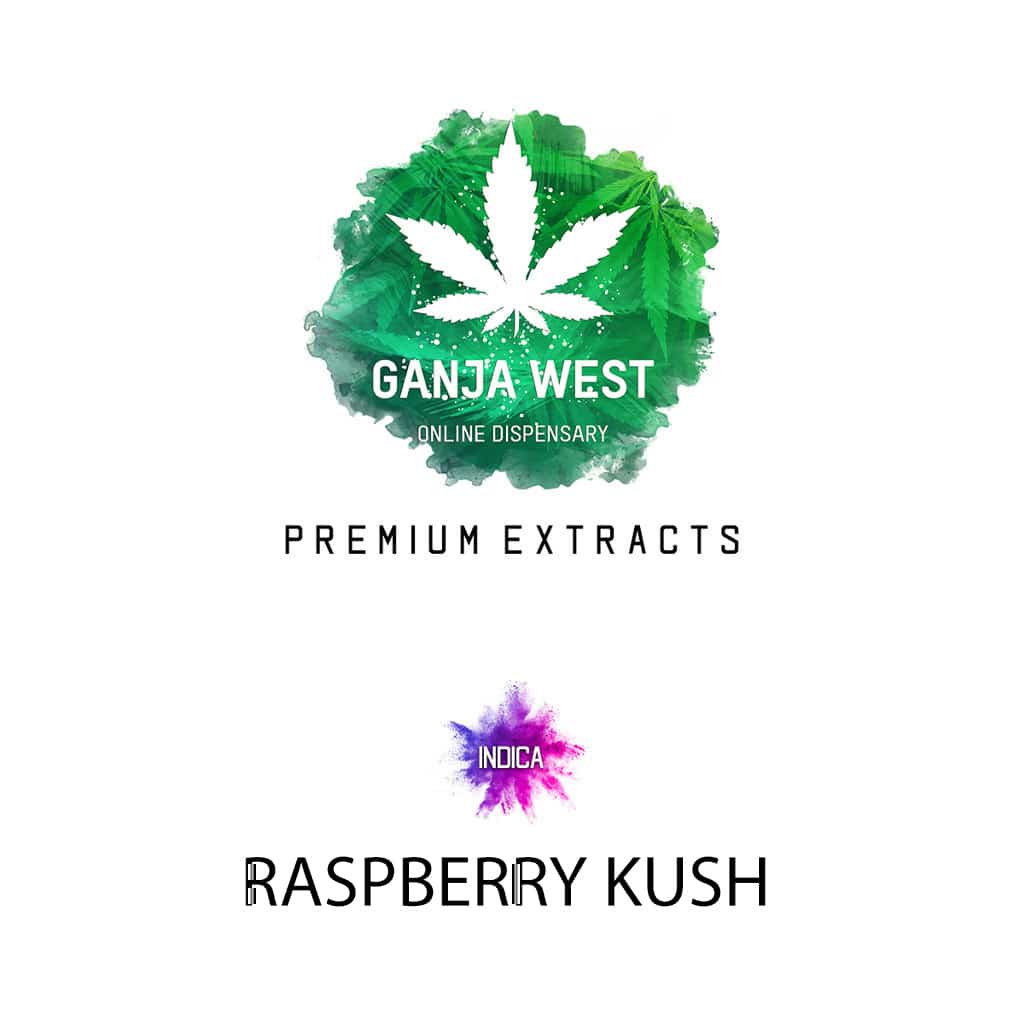 buy-shatter-concentrate-online-dispensary-ganjawest-raspberry-kush-package-1.jpg