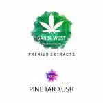 Shatter - Pine Tar Kush - Indica
