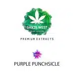 Shatter - Purple Punchsicle - Indica