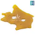Shatter - Dino Meat - Hybrid