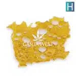 Shatter - High School Sweetheart - Hybrid