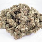 Wholesale - AA - Comatose OG - Indica