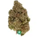 Hindu Kush AA