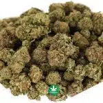 Hindu Kush AA - Image 2