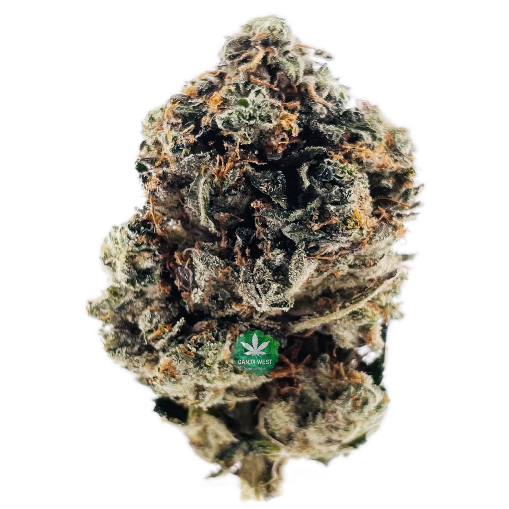 buy-strain-cannabis-online-dispensary-ganja-west-aa-master-kush-2.jpg