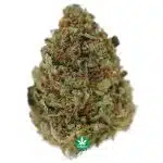 Pink Kush AA