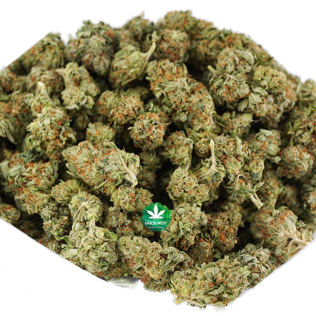 buy-strain-cannabis-online-dispensary-ganja-west-aa-rockstar-wholesale-1-1.jpg