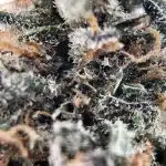 Wholesale - AAA - AK-47 - Sativa - Image 3