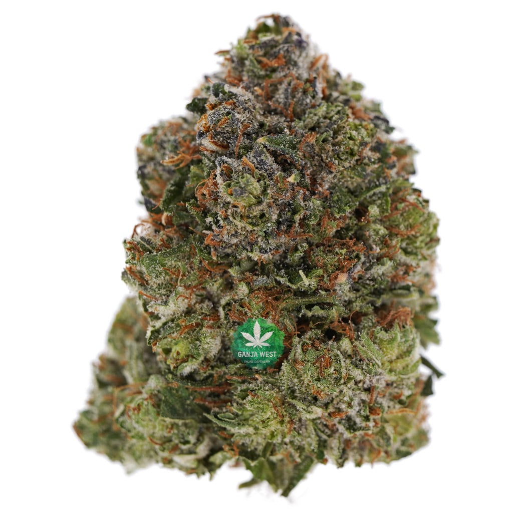 buy-strain-cannabis-online-dispensary-ganja-west-aaa-black-tuna-1.jpg