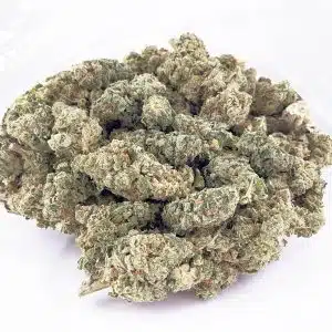 Wholesale - AAA - Blue Dream - Sativa